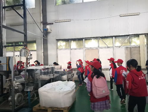 探秘环保工厂，争当绿色先锋——本报小记者化身环保大使走进赛高环保工厂